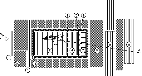 schematic view of the detector